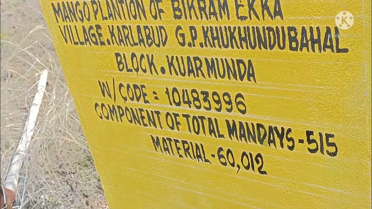 mango plantion of MGNREGA display board YouTube