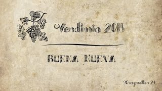 Vendimia distrital - Buena Nueva 2014-2015