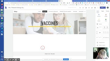 Programmable Search Engines