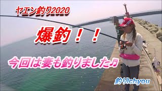 爆釣 ヤエン釣り Youtube