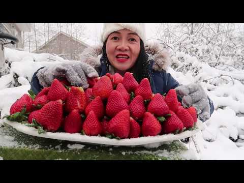 Video: Dâu Tây Dưới Tuyết
