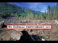 На Байкале уничтожают лес 2021