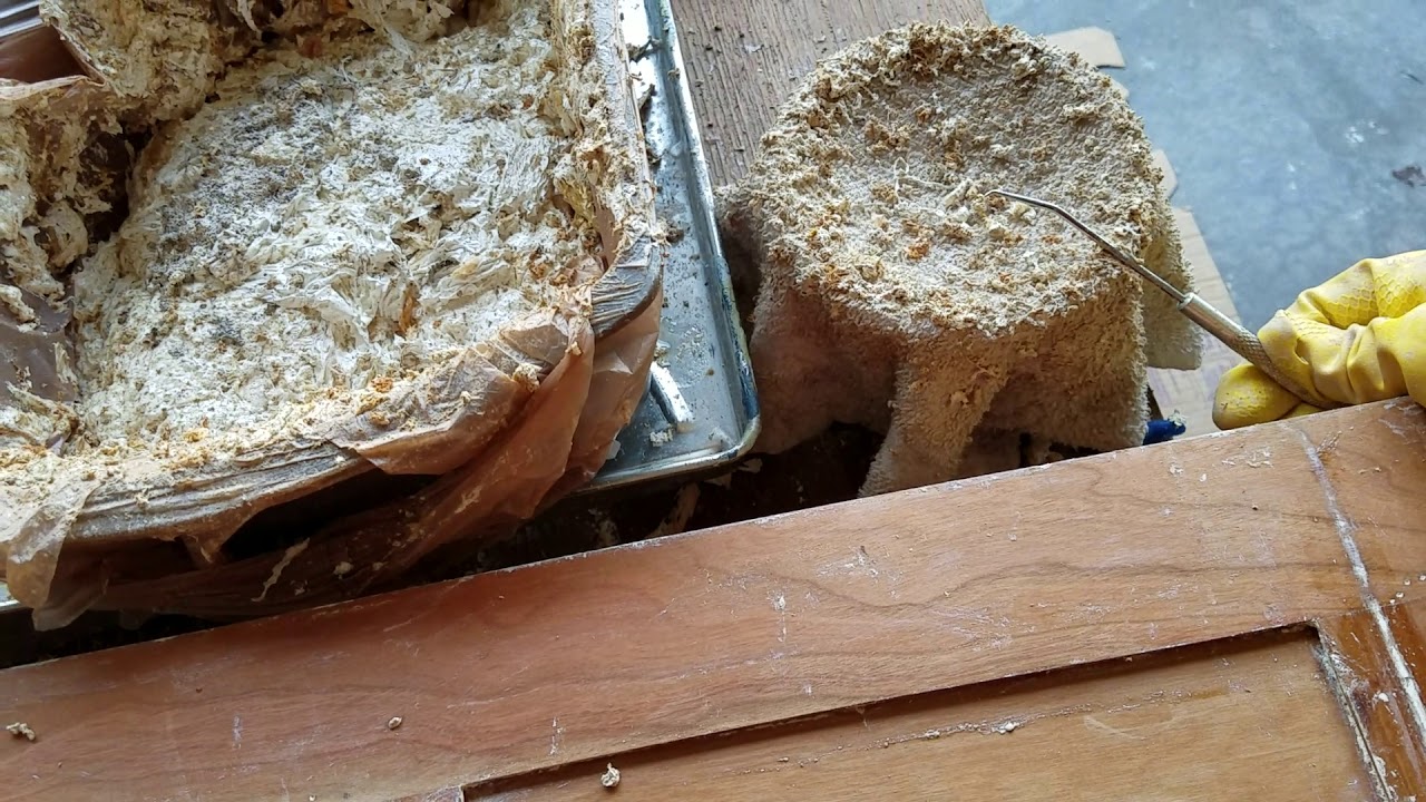 stripping details YouTube