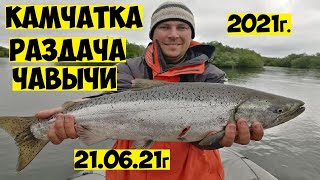 Много ЧАВЫЧИ на Камчатке! Рыбалка на чавычу! Королевский лосось на реке Большая! King salmon fishing