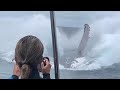 Whale jumps out of nowhere during sight seeing tour