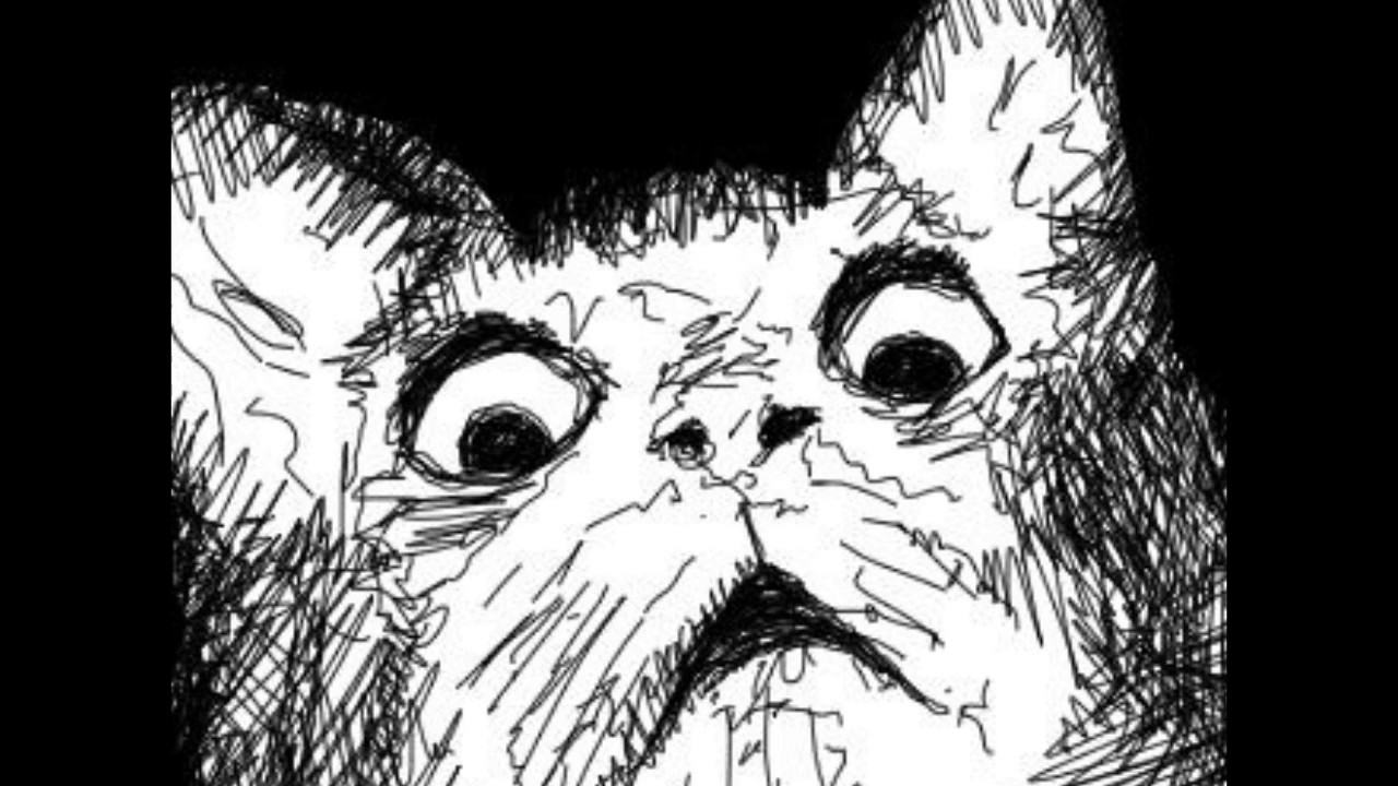 Видео мем удивление. Удивленный кот. Офигевший кот. Кот Мем. Удивление Мем.