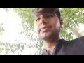 am khaty hain