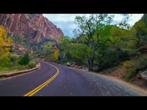 يابائع الصبر