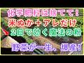 【絶対失敗しない】※今すぐ化学肥料はやめてください!米ぬかとアレだけで「速効性×有機」を両立。土が笑うほど肥え、野菜が爆産するプロ直伝のぼかし肥料術。