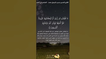 سورة الحشر بصوت القارئ الحسين عبدرب الرسول #القرآن_الكريم #اكسبلور#المصحف #غزة_النصر#غزة_بتفرح