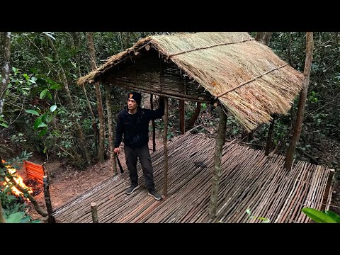 Off grid living Building a tiny house deep in the forest , thatch roof build part 2