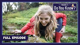 Snail And Tractor Maddies Do You Know Series 4, Episode 11 Full Episode