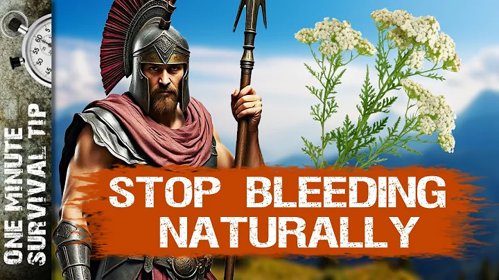 Emergency First Aid: Stop Bleeding Naturally with Yarrow (Survival Tip!)