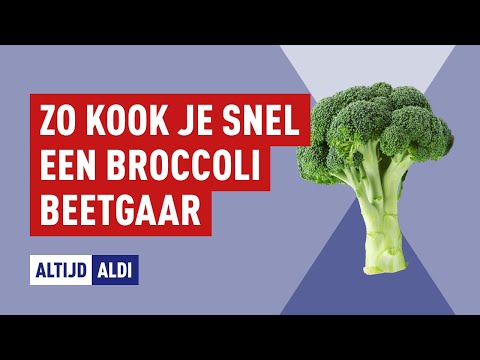 Video: Een biografieschets schrijven: 10 stappen (met afbeeldingen)