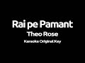 Theo Rose Rai Pe Pamant Karaoke