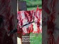 DO SINGLE BEVEL BROADHEADS REALLY "SPLIT" BONE? I think so... #bowhunting #hunting #archery