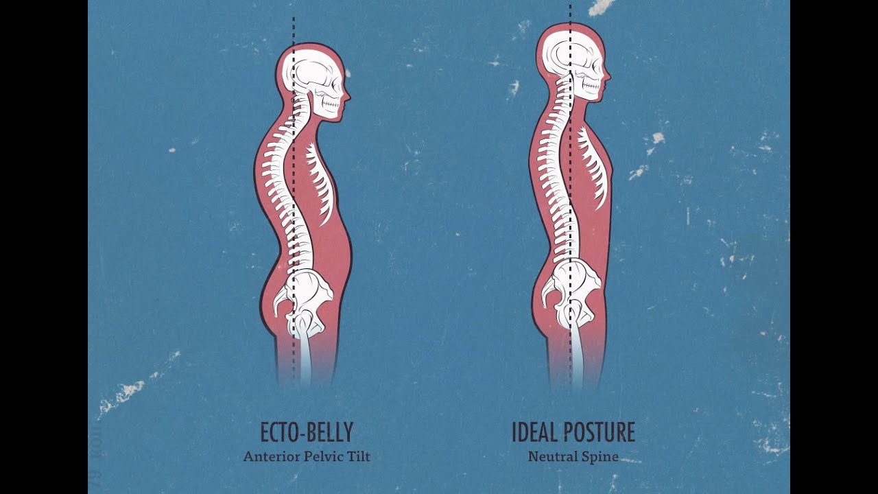 Pooch Belly | Tilted Pelvic bone and muscle | @MuscuLion #poochbelly # ...