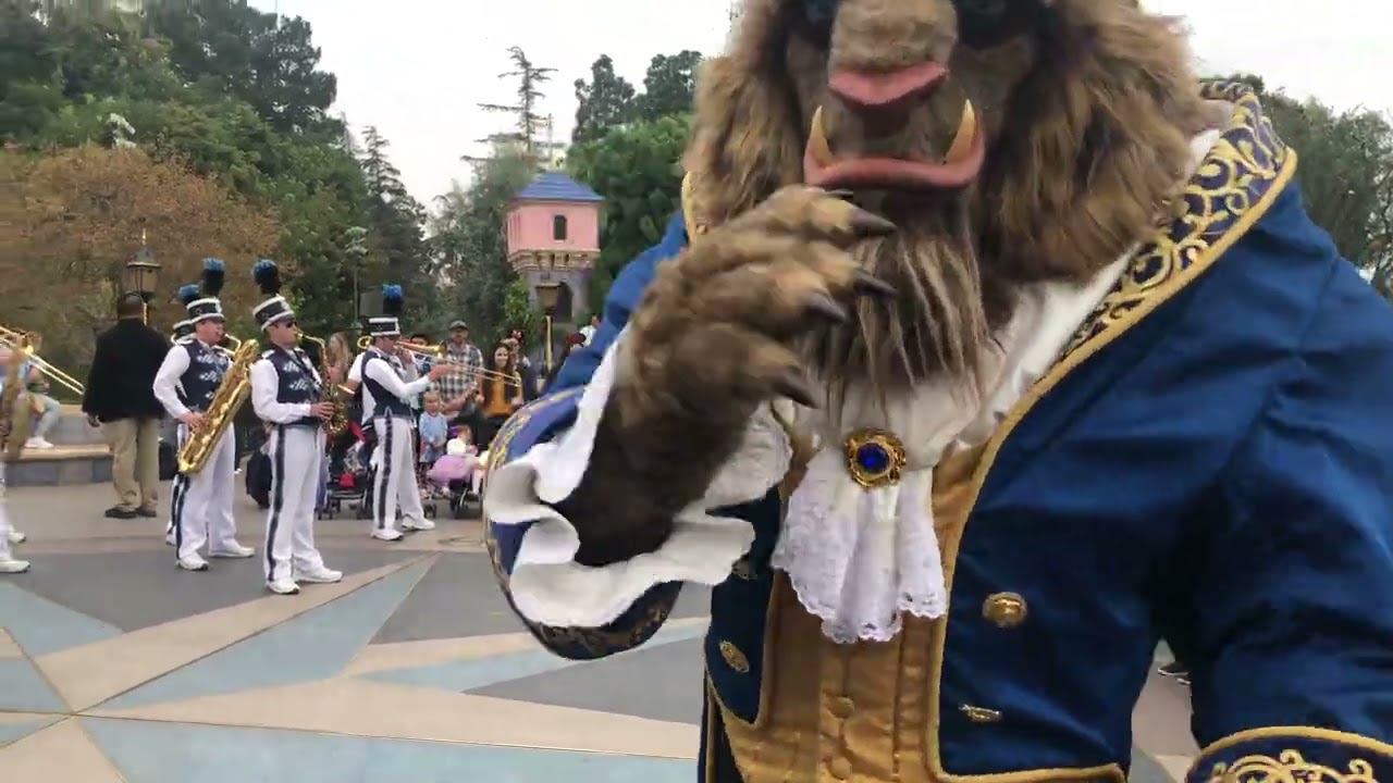 Glimpse from  Disneyland Park California