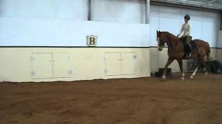 Kalista trot stretchy circle.AVI