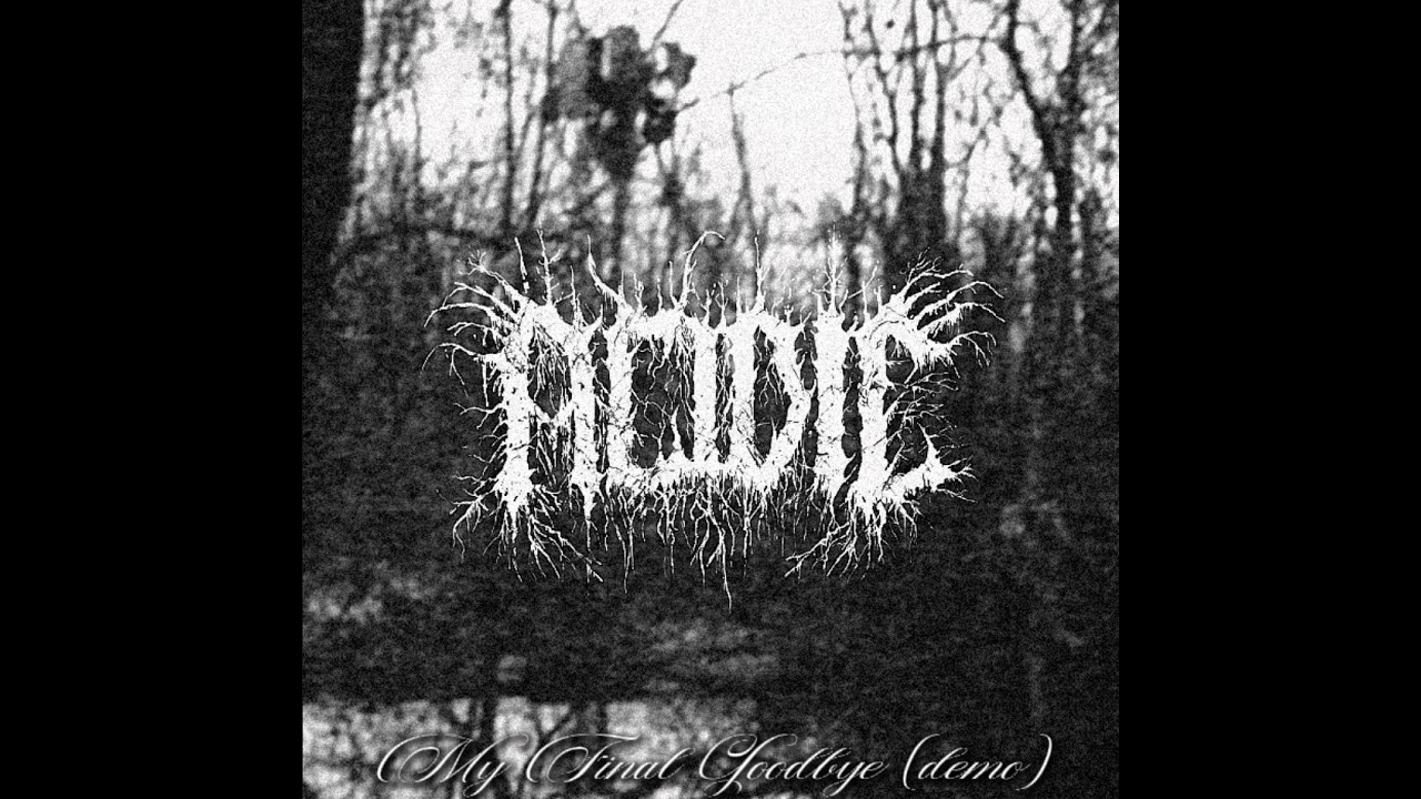 Acidic - My Final Goodbye (demo)