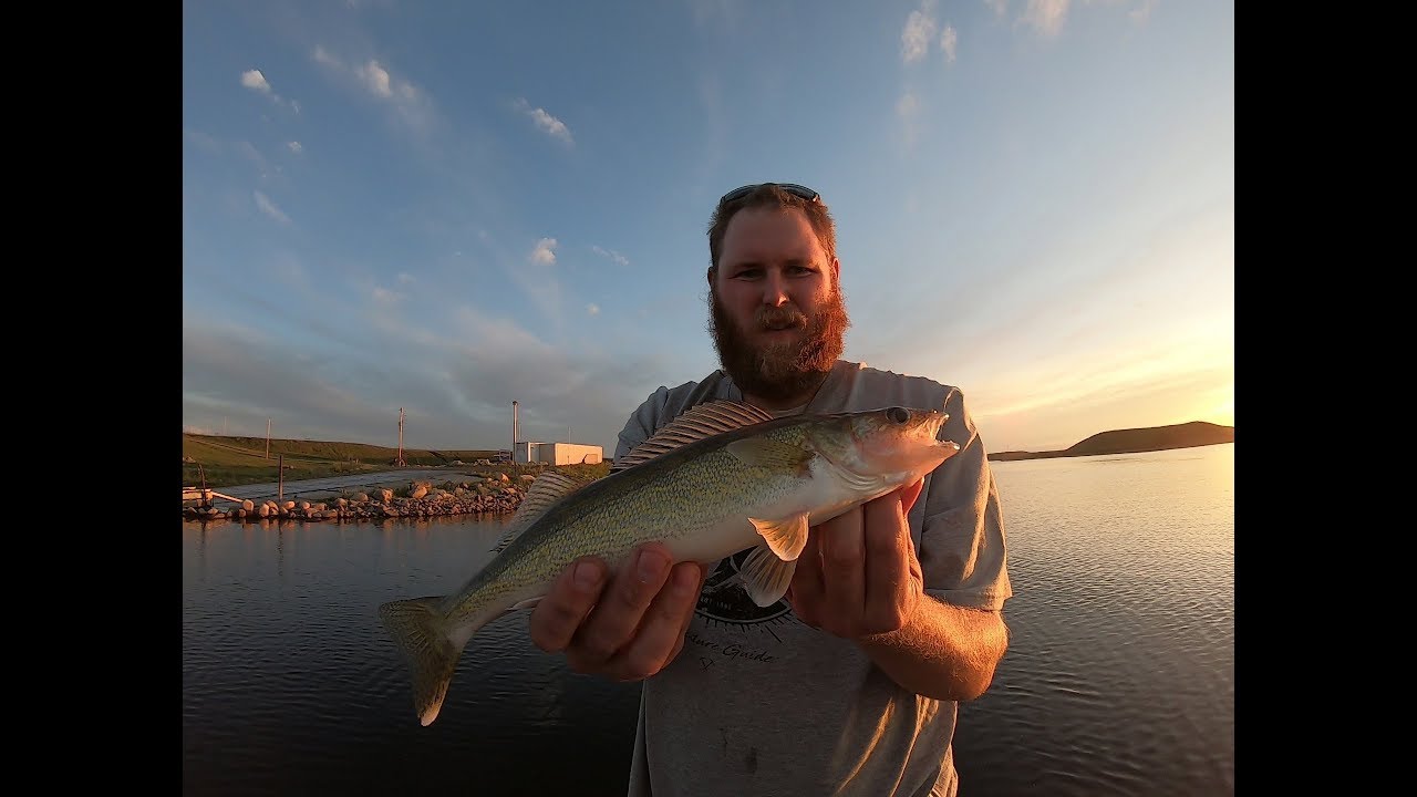 where-them-big-walleye-at-youtube