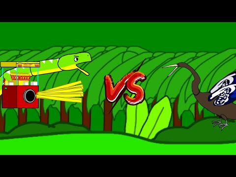 Emerald tree python with French Fries Maker gun vs Anhinga 
