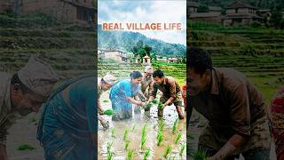 एकतामा बल छ 💪 गाउँलेहरूको प्रेरणादायी काम #short #ytshorts