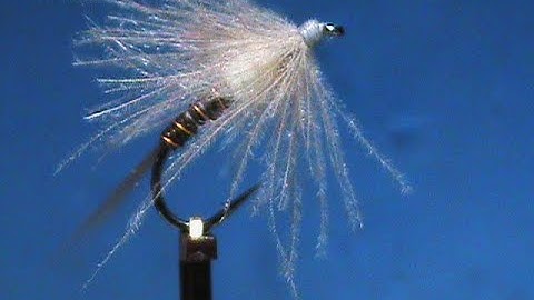 Beginner Fly Tying a Cahill Flymph with Jim Misiura