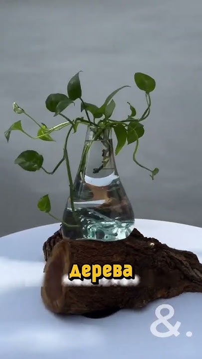 Мастер делает уникальные вазы 😍 - YouTube