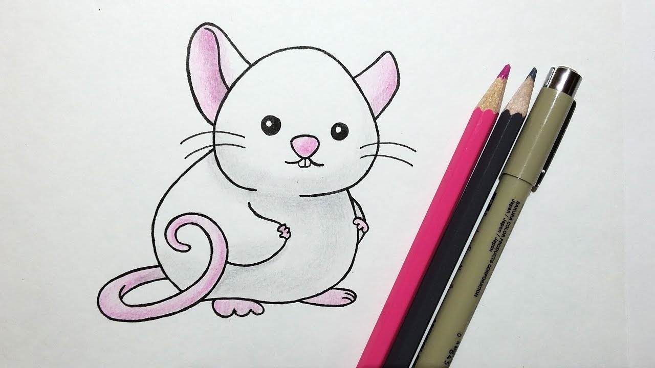 How to Draw a Cute Cartoon Rat with colored pencils - YouTube