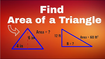 Find Area of a Triangle😀😊 | Math | Formula | Find Base or Height | Area of a 2D Shape