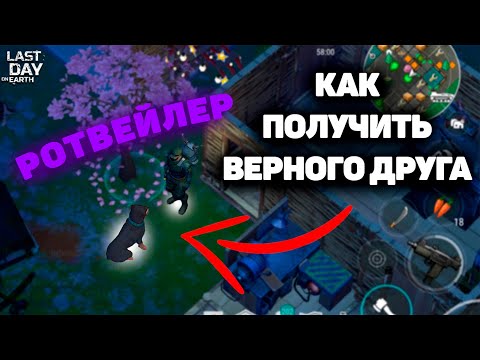 ВЕРНЫЙ ДРУГ РОТВЕЙЛЕР В ЛАСТ ДЕЙ🔥 | КАК ПОЙМАТЬ ОСЁТРА В ЛДОЕ🤯 last day on earth survival