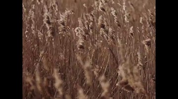 Square video upload to YouTube test