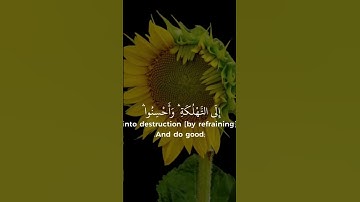 ماهر المعیقلی..سورة البقرة.الایة 195