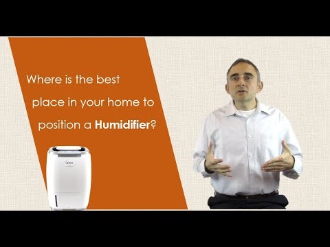 Where To Place Dehumidifier In Bathroom?