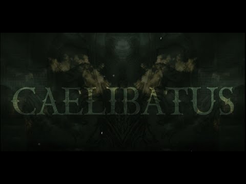 STRATUZ - CAELIBATUS [Lyric Video]