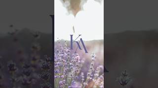 Turning The Letters K&A into A Logo