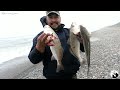 modalidad surfcasting-pesca en playa caleta mostazal 6 región de chile/rapala-okuma/pesca de canques