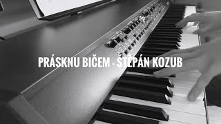 Prásknu bičem - Štěpán Kozub (cover)
