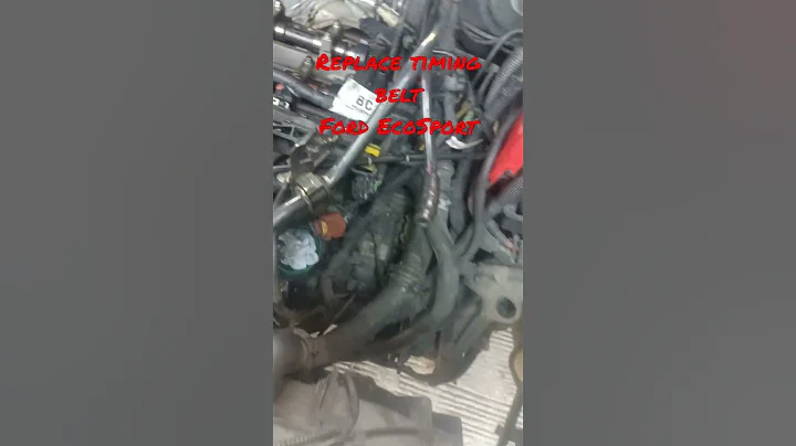 Replace timing belt Ford EcoSport #reels #cartechnology #tiktok #ford #ecosport #mechanic #solo