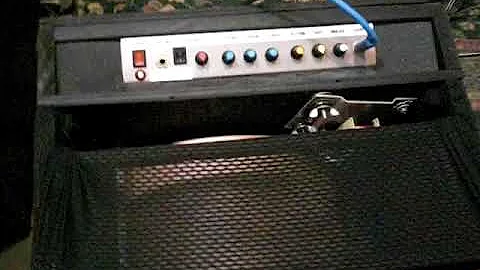 Leslie Portable Amplified Real Rotary Speaker w/ built in Instrument Amplifier