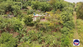 SPECIAL DOCUMENTARY: The countryside, Coamo Puerto Rico (35 mins)