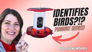 Smart Hummingbird Feeder Camera – Does It Work?