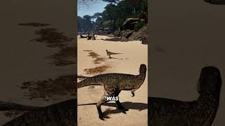 He Tried To Warn Me...