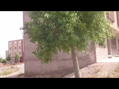 رسالة موجهة الى عبد السلام أحيزون مدير اتصالات المغرب