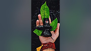 MAHADEV STATUS 🔱 KEDARNATH STATUS 🌼 MAHAKAL STATUS ❤️ #dr_status #viral #shorts #mahadev