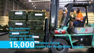 Timberlink Green