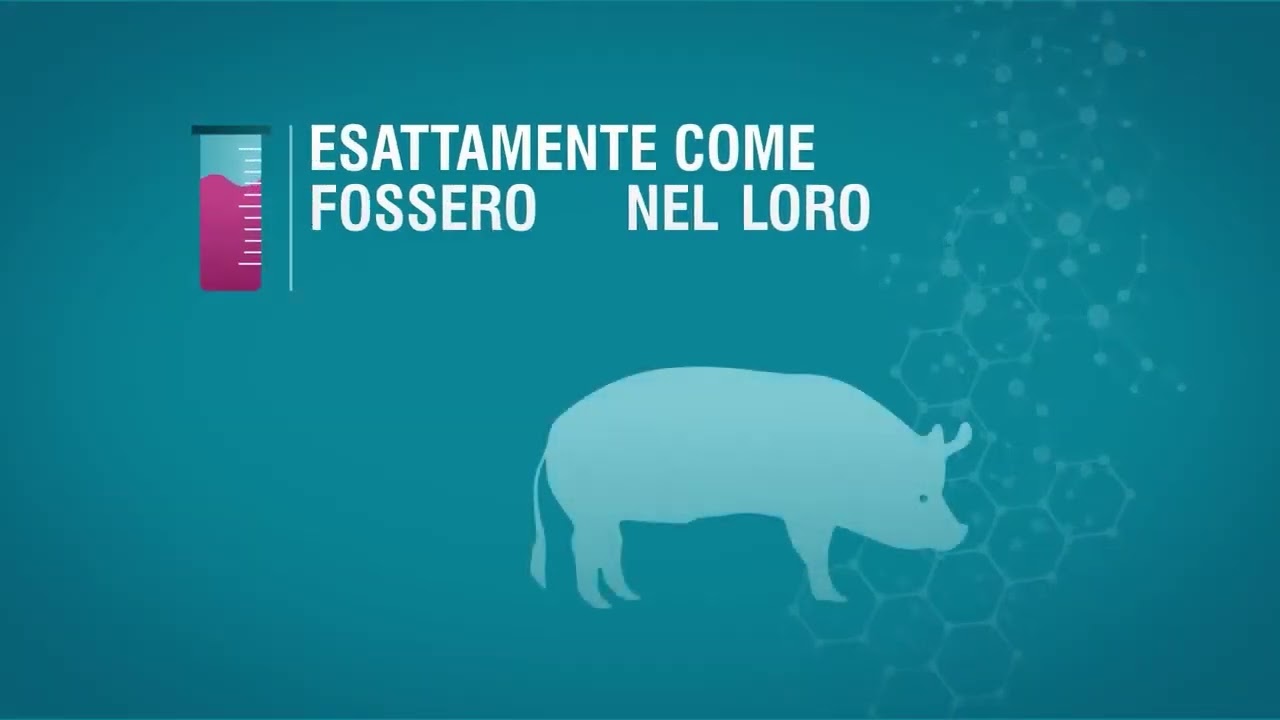 logo of the company