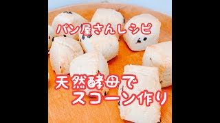 【お料理動画】天然酵母で作るスコーン♪