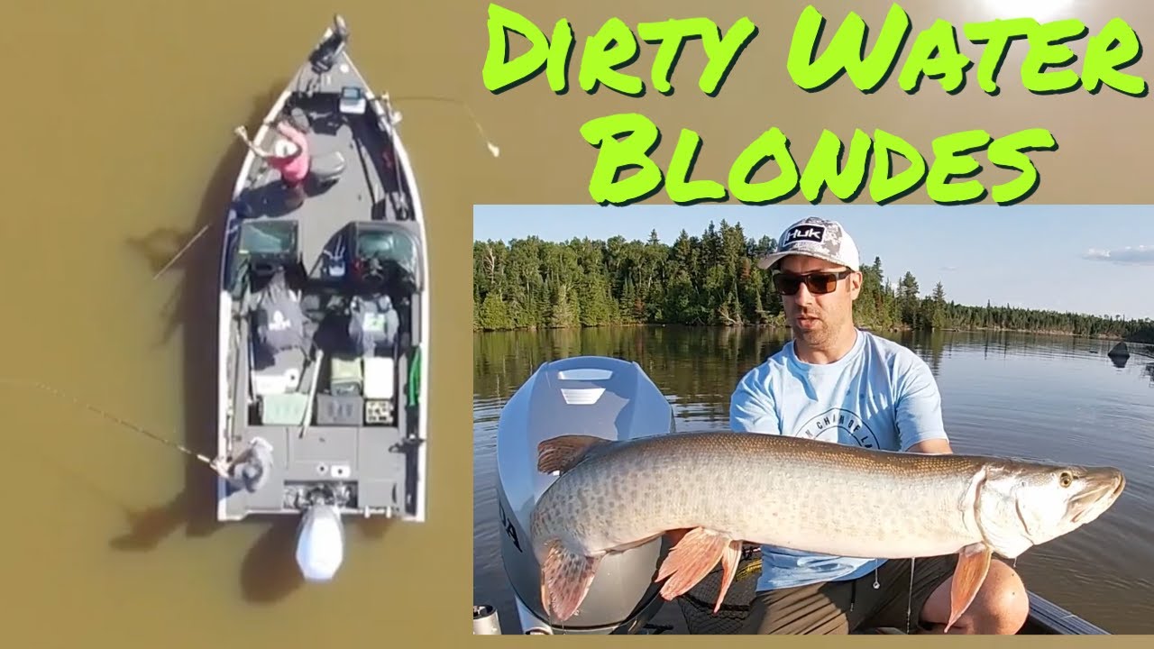 Musky Fishing in MUD COLOURED WATER? Wabigoon Chain of Lakes!!! YouTube